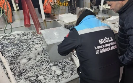 Muğla’da balık stokları için 24 saatlik bilimsel takip başlatıldı