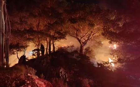 Bodrum’da sezonun ilk orman yangını çıktı