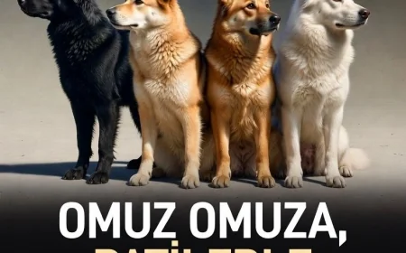 Bodrum Belediye Meydanı'nda Sessiz Canların Sesi Olmak İçin Buluşuyoruz