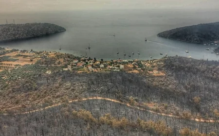 Muğla’da orman arazileri arsa oldu, sınırlar değişti