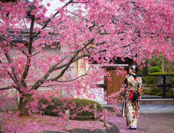 Aşırı turizm nedeniyle dünyanın en önemli festivali iptal edildi