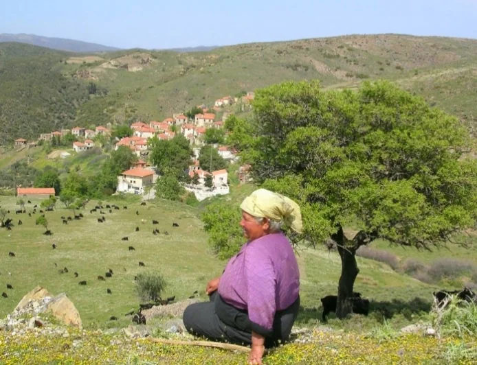 ÇED Olumu kararı verilen projenin zararları bilirkişi raporu ile ortaya çıktı
