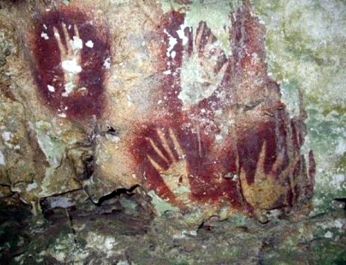 Dünyanın en eski mağara resmi  bulundu. En az 67 bin 800 yıllık