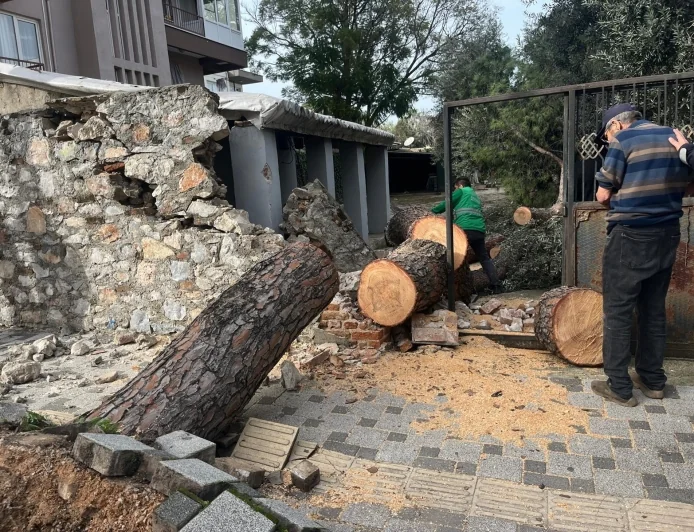 Bodrum ve Milas’ta fırtına hayatı felç etti: Ağaçlar devrildi, enerji sistemleri ve çatılar uçtu, tekneler hasar gördü