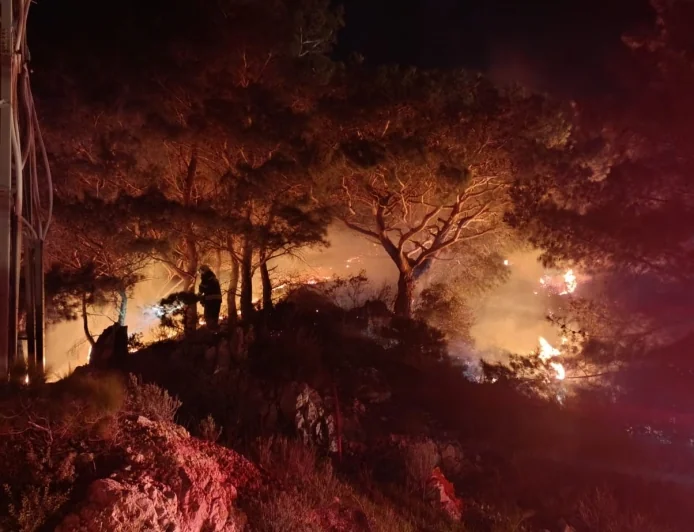 Bodrum’da sezonun ilk orman yangını çıktı