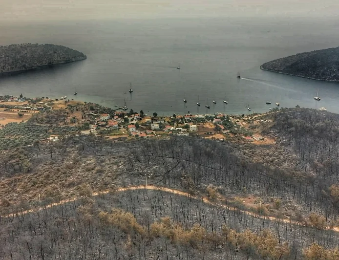 Muğla’da orman arazileri arsa oldu, sınırlar değişti
