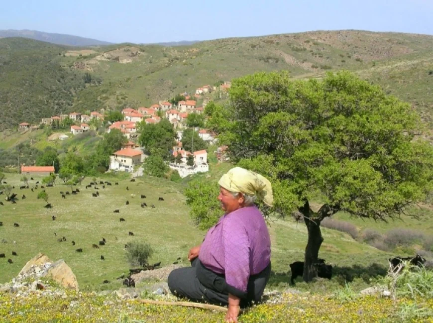 ÇED Olumu kararı verilen projenin zararları bilirkişi raporu ile ortaya çıktı