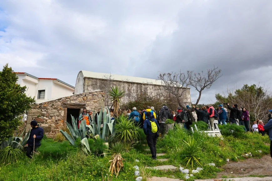 Antik  Myndos kentinde doğa ve kültür yürüyüşü ilgi gördü