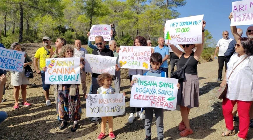 Muğla’nın cennet Yeşilüzümlü ormanlarına Danıştay koruması...  Yeşilüzümlü’de Krom Konsantre Tesisine Yargıdan Kesin Ret