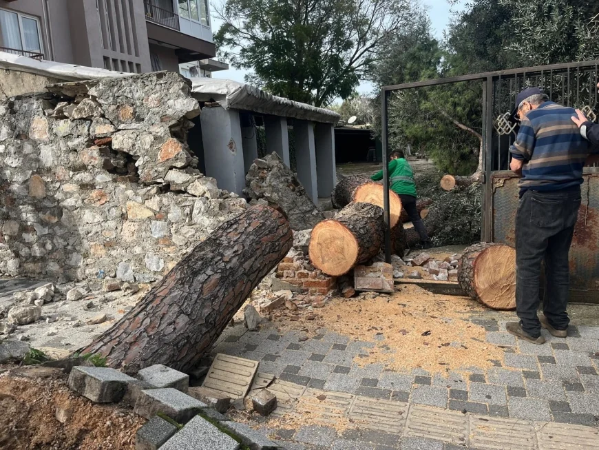 Bodrum ve Milas’ta fırtına hayatı felç etti: Ağaçlar devrildi, enerji sistemleri ve çatılar uçtu, tekneler hasar gördü