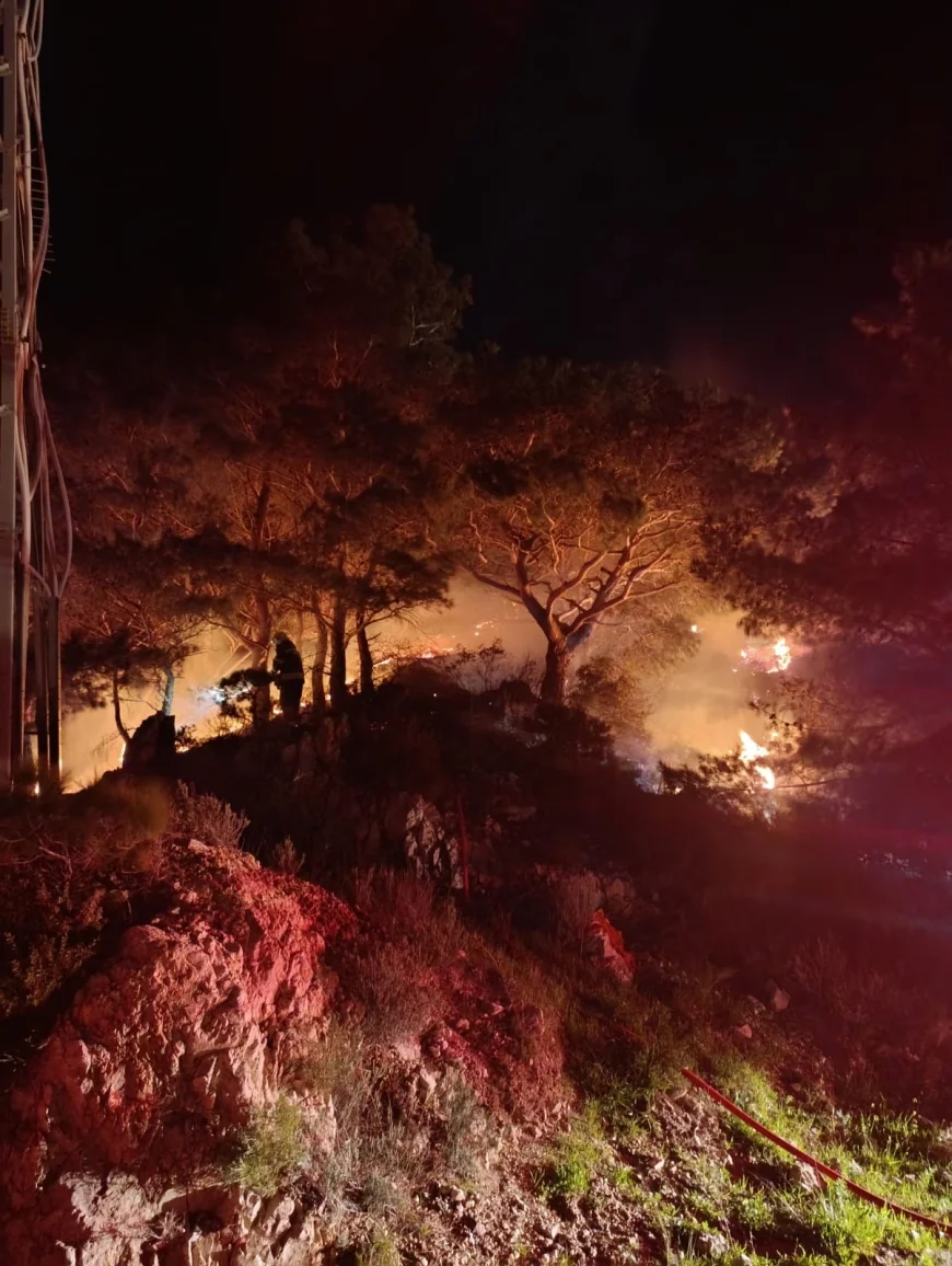 Bodrum’da sezonun ilk orman yangını çıktı