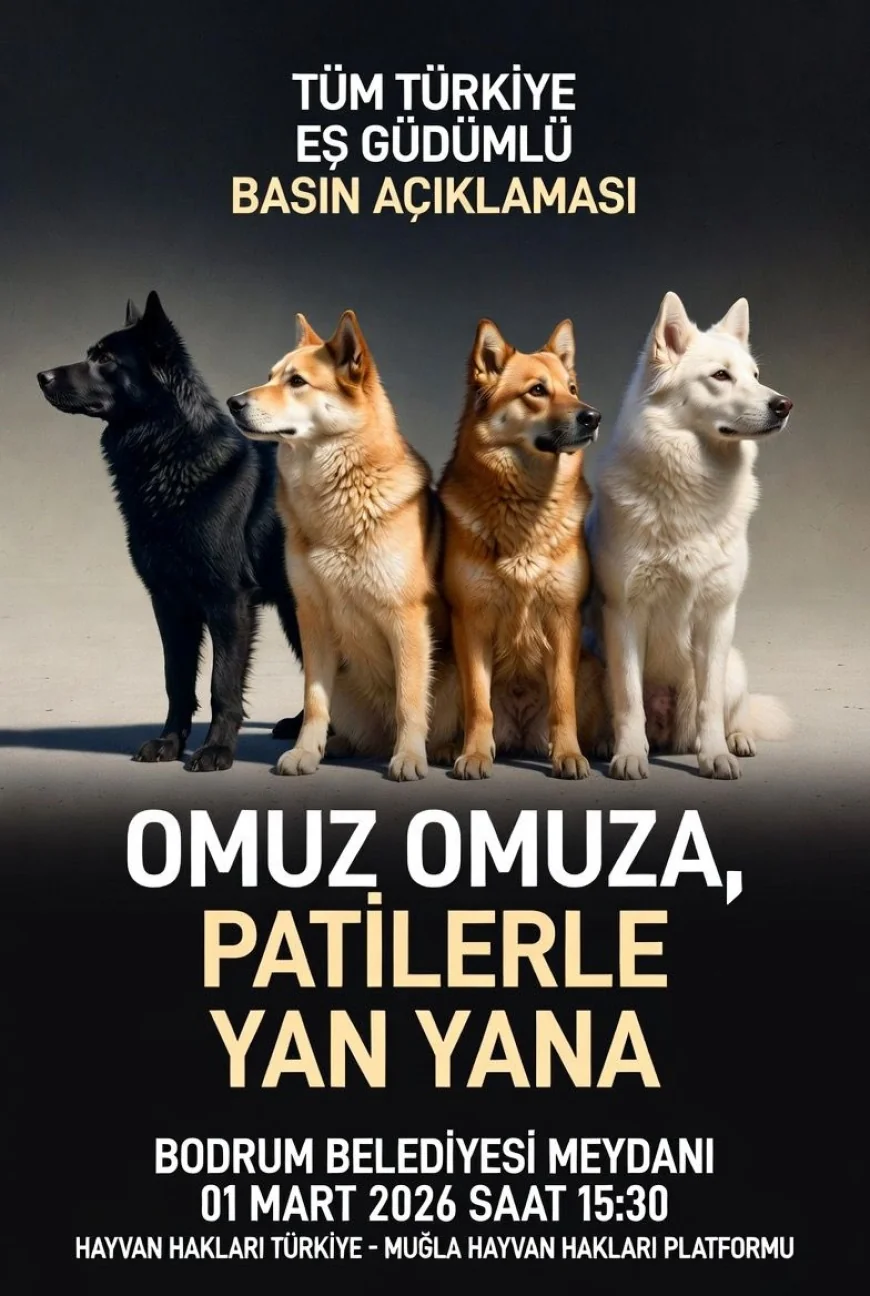 Bodrum Belediye Meydanı'nda Sessiz Canların Sesi Olmak İçin Buluşuyoruz