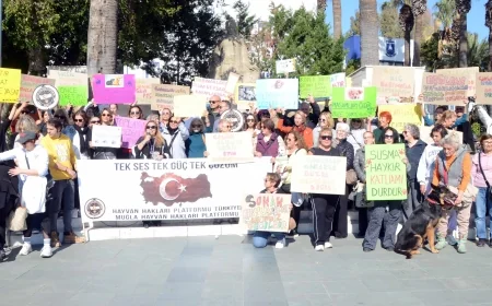 Bodrum’da hayvanseverlerden yasaya sert tepki “Dilsiz canların çığlığı, sönen hayatların nefesi olacağız”