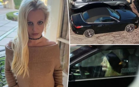 Dünyaca ünlü yıldız ABD polisini peşine taktı, yakalandı gözaltına alındı. Ehliyetine el konuldu