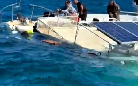 Bodrum Torba  açıklarında denizde facia , batan tekneden sekiz kişi son anda kurtarıldı