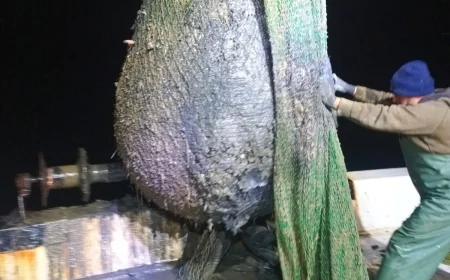 İZMİR KÖRFEZİNİN ÇAMURU BALIKÇILIĞIDA TURİZMİDE TEHDİT EDİYOR