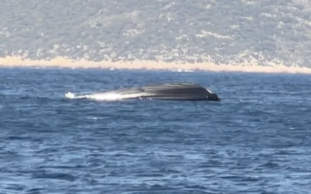 Frontex sınır muhafaza botu battı  5  kişi yaralandı. Birinin durumu ağır