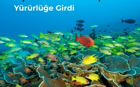 Açıkdenizler Anlaşması Yürürlüğe girdi