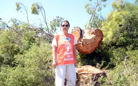 TEMA BAŞKANI DENİZ ATAÇ DÜNYA "SU İFLASI" RİSKİYLE KARŞI KARŞIYA