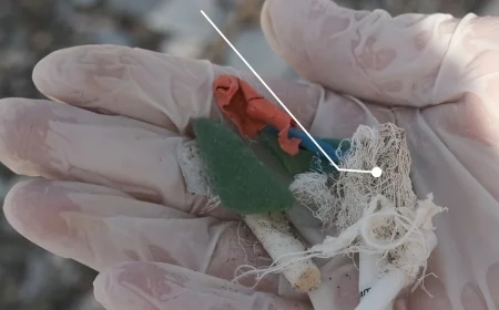 Datça’nın  cenneti koyları mikroplastik mezarlığı oldu