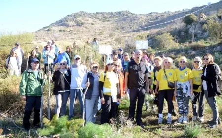 Bodrum’da Doğa Alarmı: “Betonlaşma Tehlikesi Büyüyor”