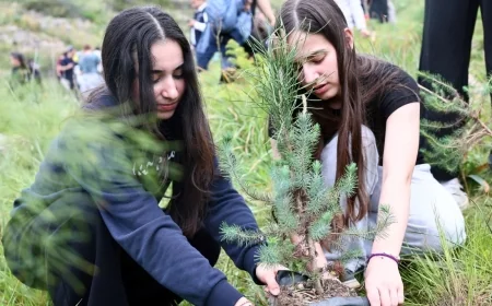 Yanan ormanlık alanda 1500 fidan çocukların ellerinden toprak ile  buluştu