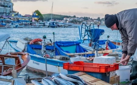 YEREL BALIK FESTİVALİ BAŞLIYOR