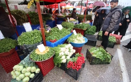 Bodrum Acı Ot Festivali Başladı