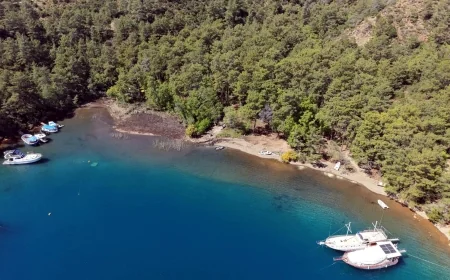 Cennet Osmanağa koyu halka kapatıldı, tartışmalar yaşandı
