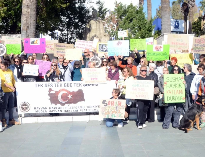 Bodrum’da hayvanseverlerden yasaya sert tepki “Dilsiz canların çığlığı, sönen hayatların nefesi olacağız”