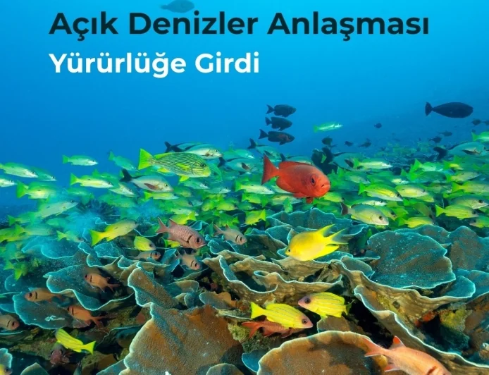 Açıkdenizler Anlaşması Yürürlüğe girdi