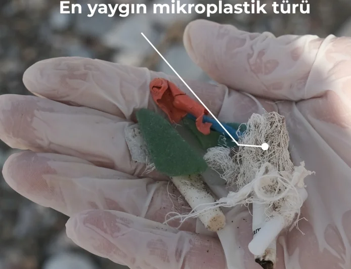 Datça’nın  cenneti koyları mikroplastik mezarlığı oldu