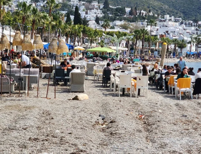 SAHİLLERDE İŞGAL KALKAR MI DEMİŞTİK? KALKMADI ÇOĞALDI...  Bodrum’da hayal kırıklığı yaratan sahil işgali uygulaması