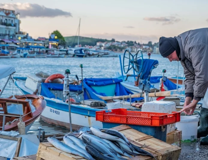 YEREL BALIK FESTİVALİ BAŞLIYOR