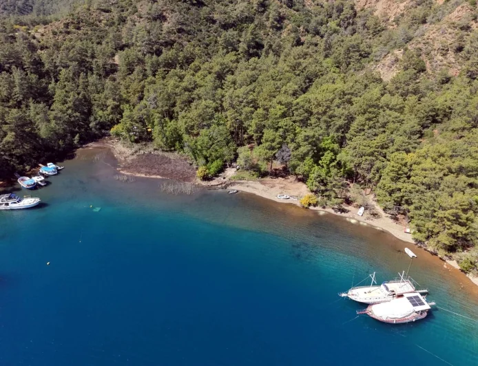 Cennet Osmanağa koyu halka kapatıldı, tartışmalar yaşandı