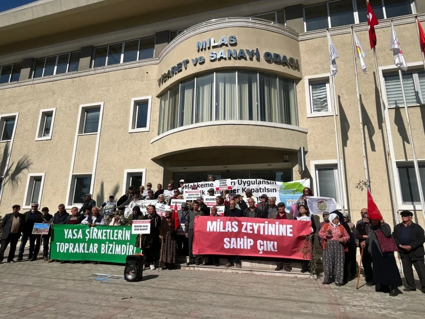 Milas’ta 7 köyün halkı zeytin için adalet arayışında kurumların kapısına dayandı