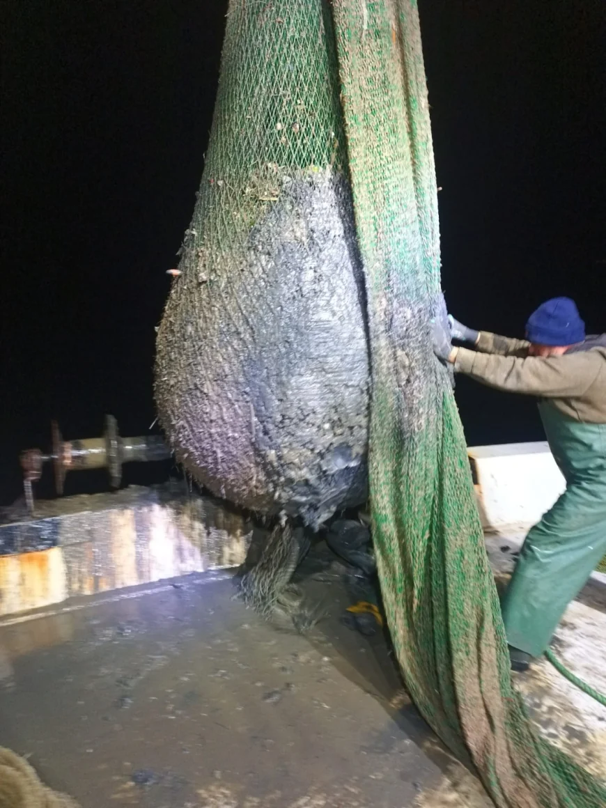 İZMİR KÖRFEZİNİN ÇAMURU BALIKÇILIĞIDA TURİZMİDE TEHDİT EDİYOR