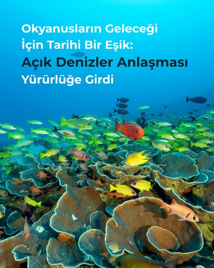 Açıkdenizler Anlaşması Yürürlüğe girdi