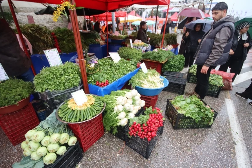 Bodrum Acı Ot Festivali Başladı