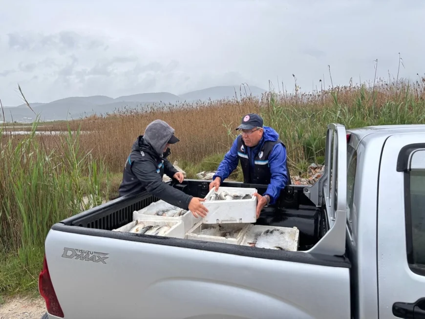 Güllük Lagünü’nde kaçak kefal avcılarına baskın