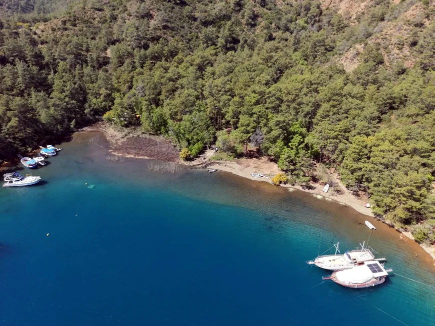 Cennet Osmanağa koyu halka kapatıldı, tartışmalar yaşandı