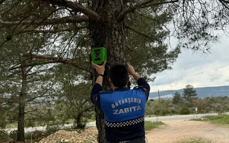 Doğa düşmanlarının gözü döndü, fotokapana rağmen ormanı çöplük yaptılar