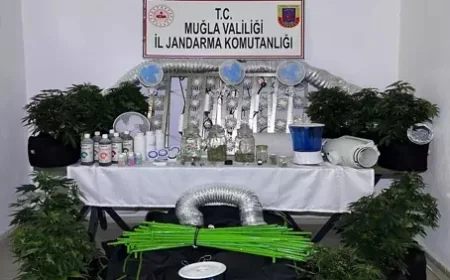 Narkotik operasyonlarında 12 kişi tutuklandı