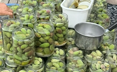 Kadın Üreticilerin Datça Turşusu kapışıldı