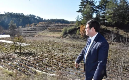 BARIŞ SAYLAK’TAN HOBY BAHÇELERİ İÇİN ÇOK ÖNEMLİ AÇIKLAMA