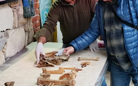 Turistik ilçenin halk plajında  bulunan kemikler korku ve heyecan yarattı