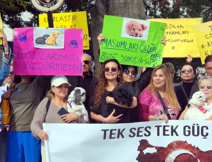 Bodrum’da sahipsiz köpeklerin toplatılmasına çok sert tepki