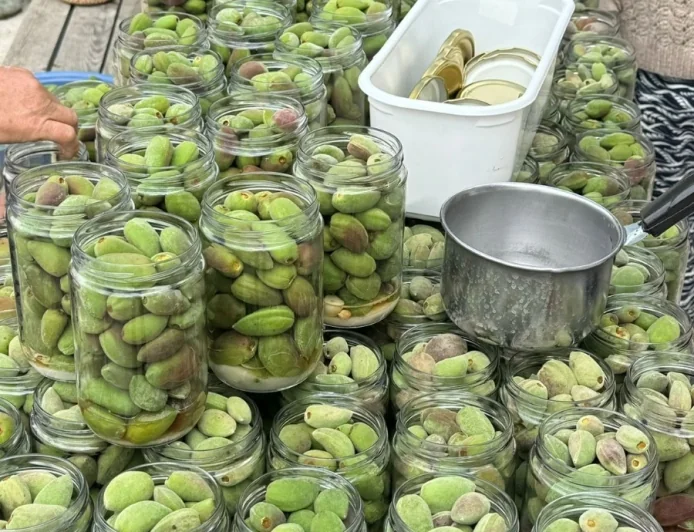 Kadın Üreticilerin Datça Turşusu kapışıldı