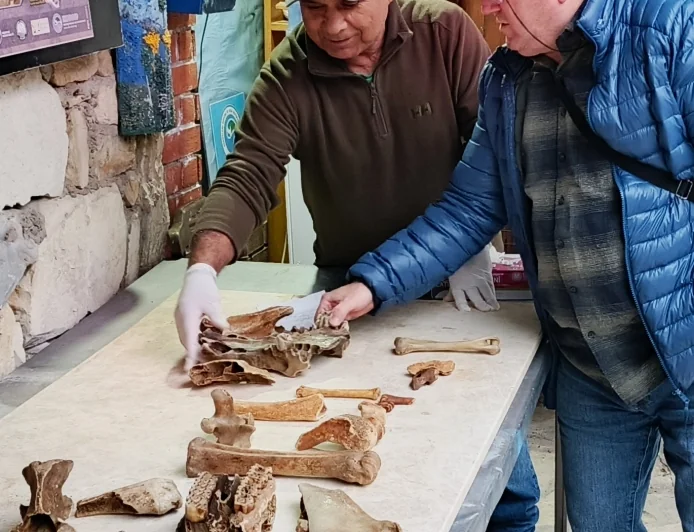 Turistik ilçenin halk plajında  bulunan kemikler korku ve heyecan yarattı