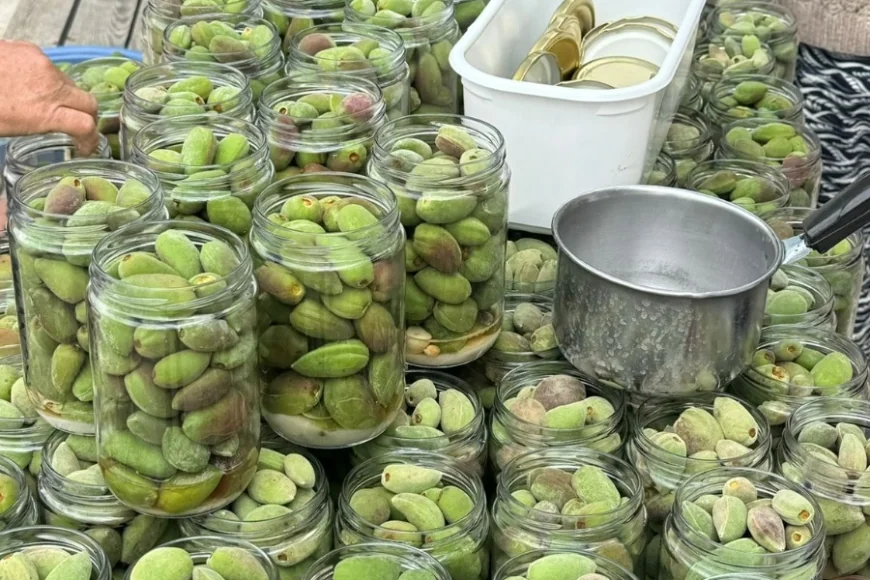 Kadın Üreticilerin Datça Turşusu kapışıldı